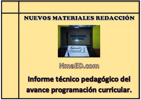 Informe técnico pedagógico del avance programación curricular.